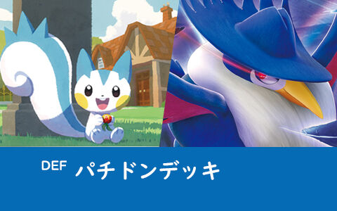 パチリスドンカラスデッキがシティリーグでtop４入り Def ポケカデッキレシピ ポケブラリー