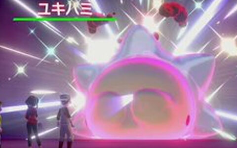 ポケモン剣盾 ナマコブシ バチンウニ ユキハミが出現ワイルドエリア期間限定イベント開催 ポケブラリー
