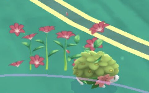 ポケモンgo 相棒にオススメ シェイミを相棒にすると凄い可愛い ポケブラリー