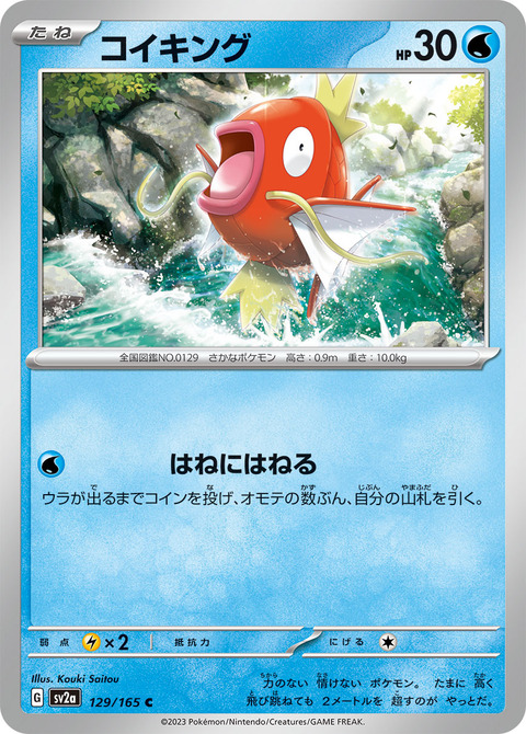 コイキング2