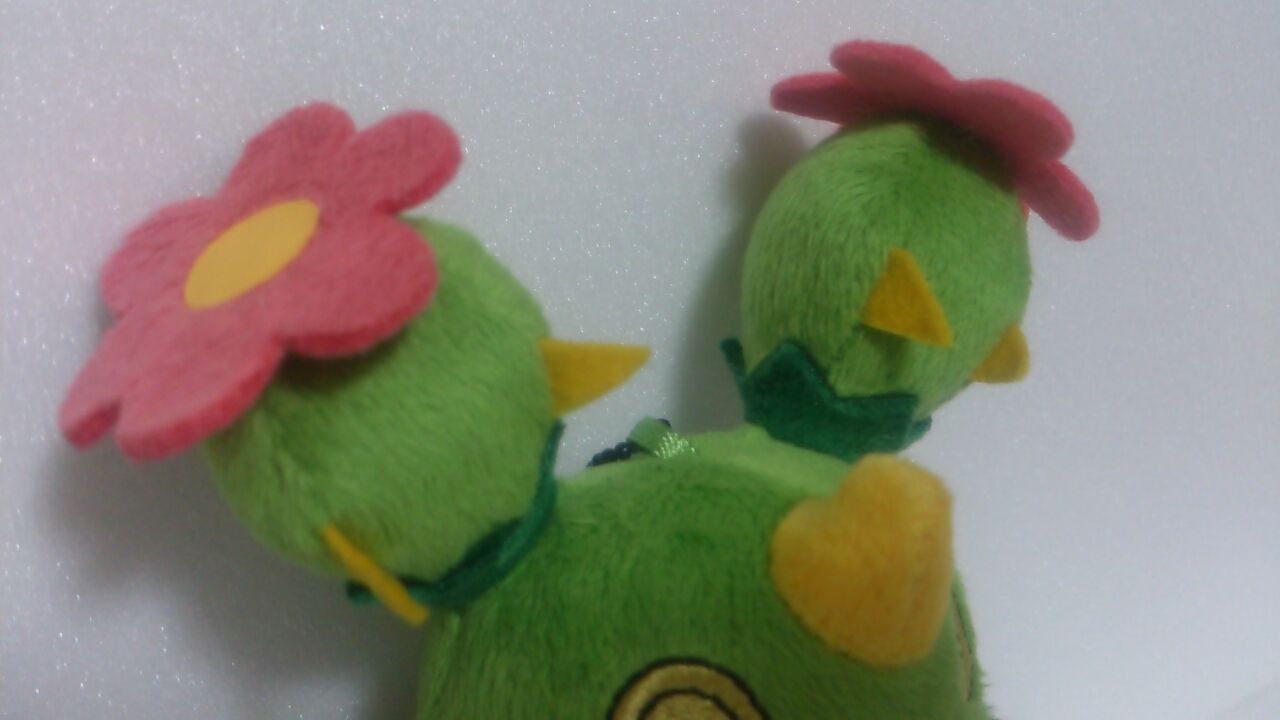 Myポケモンコレクション マラカッチ ポケモンのぬいぐるみを全種ゲットするブログ