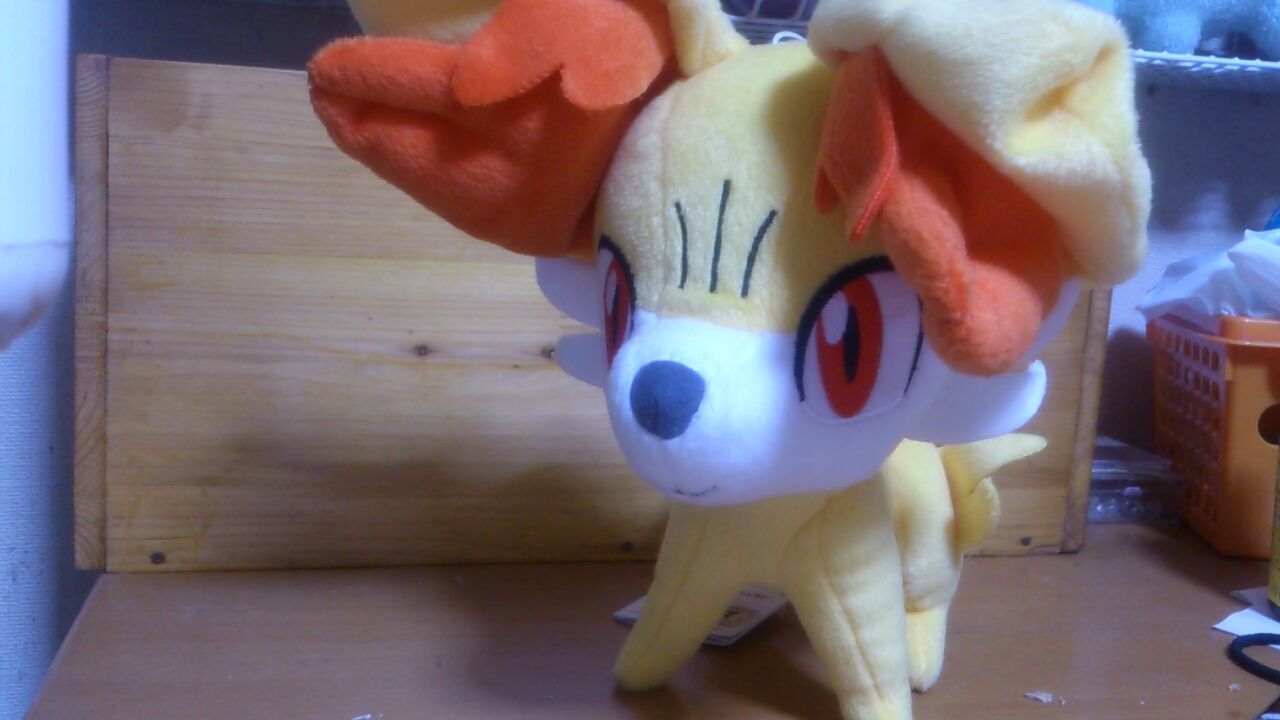ポケモンのぬいぐるみを全種ゲットするブログ