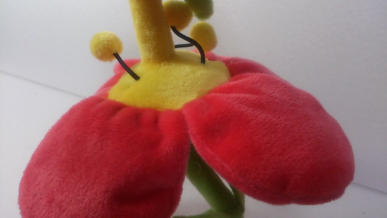 ぬいぐるみ ポケモンのぬいぐるみを全種ゲットするブログ ぬいぐるみ ポケモンのぬいぐるみを全種ゲットするブログ