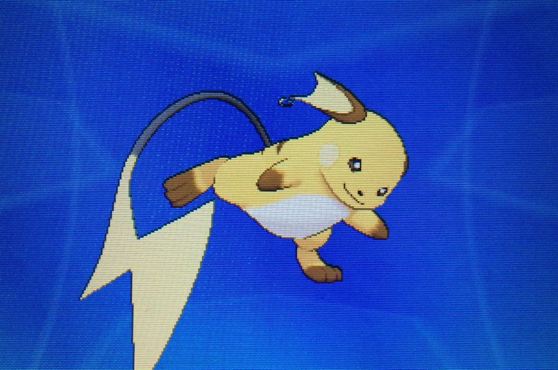 配信 リザードンy ピカチュウ ライチュウ クリマツ自転車