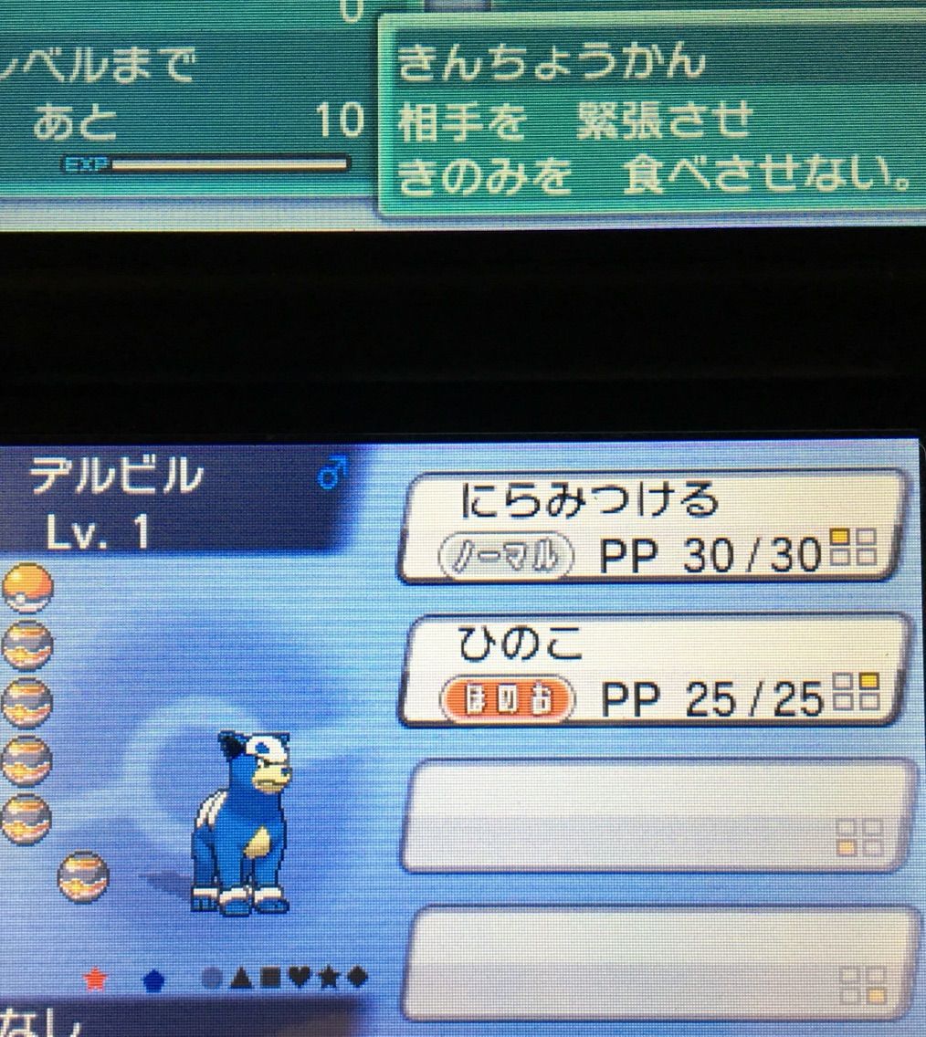 国際孵化 クリマツ自転車