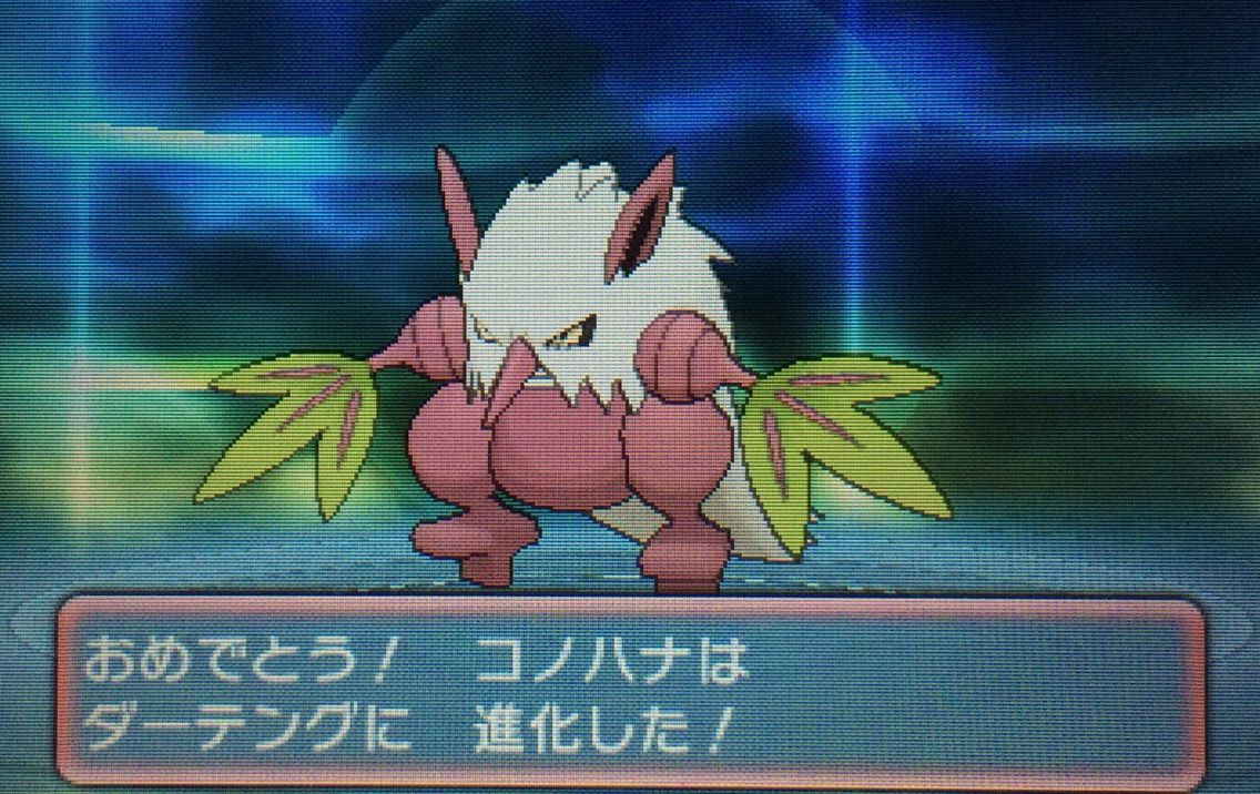 図鑑ナビ コノハナ ダーテング クリマツ自転車