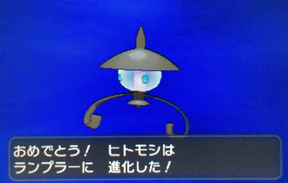 国際孵化 ヒトモシ ランプラー シャンデラ クリマツ自転車