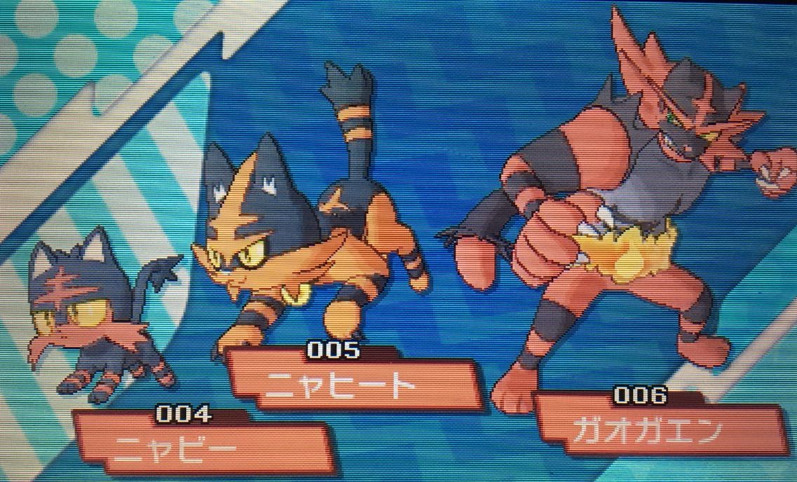 国際孵化 クリマツ自転車