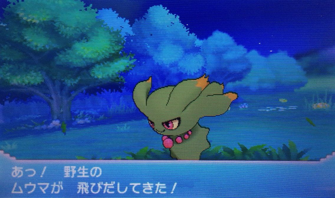 図鑑ナビ ムウマ クリマツ自転車