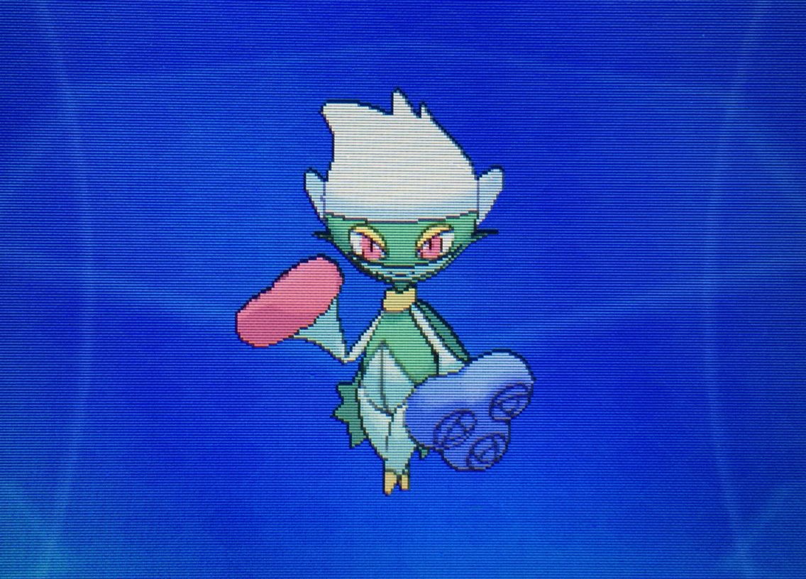 国際孵化 ロゼリア ロズレイド クリマツ自転車