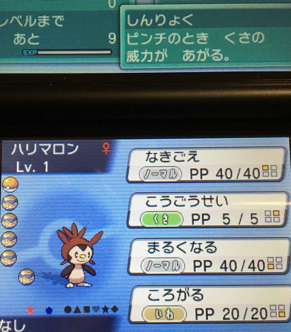 国際孵化 ハリマロン再び クリマツ自転車 国際孵化 ハリマロン再び クリマツ自転車