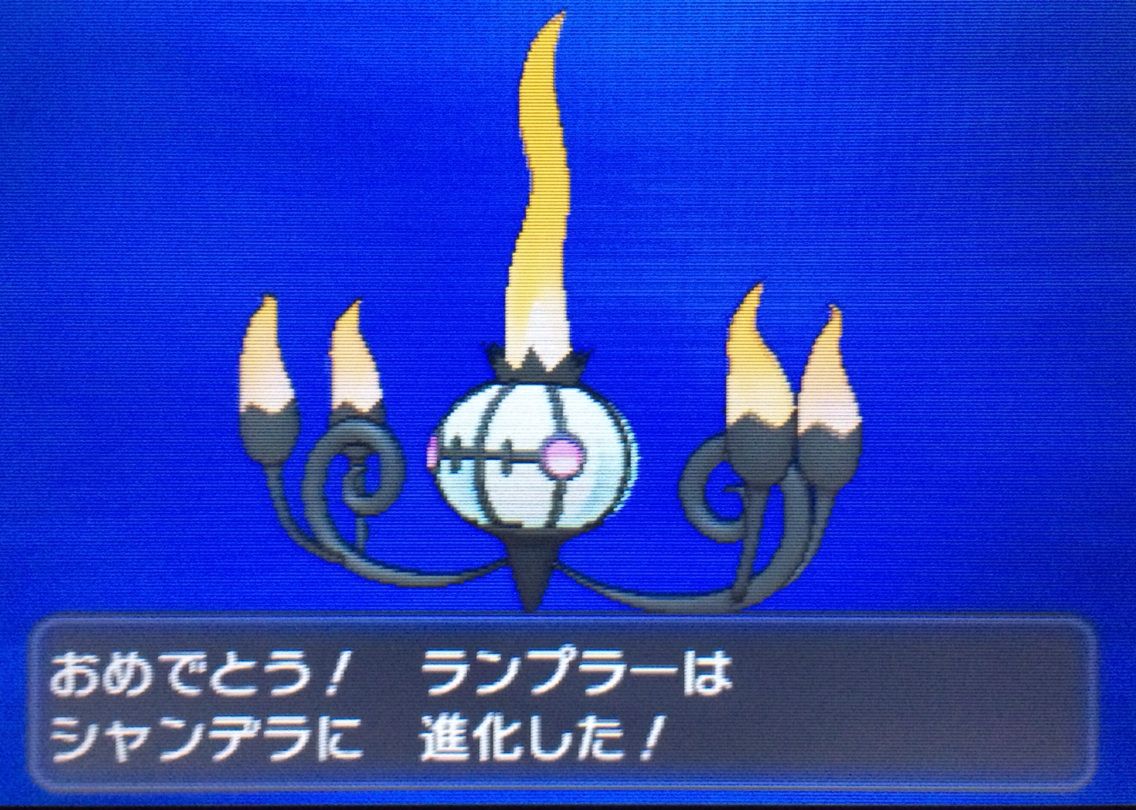 国際孵化 ヒトモシ ランプラー シャンデラ クリマツ自転車