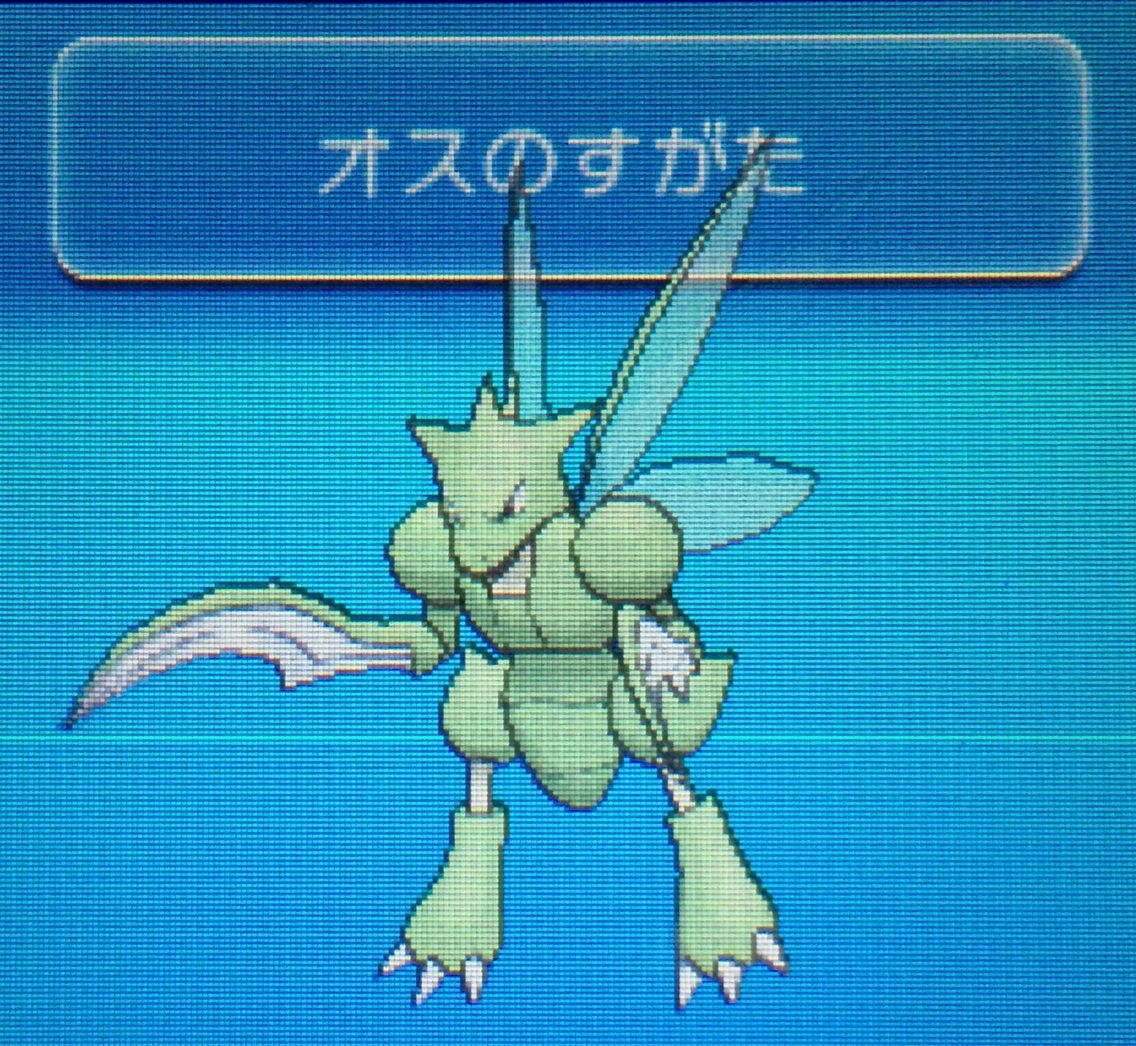 国際孵化 ストライク クリマツ自転車