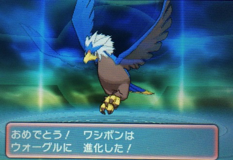 Oras クリマツ自転車 Oras クリマツ自転車