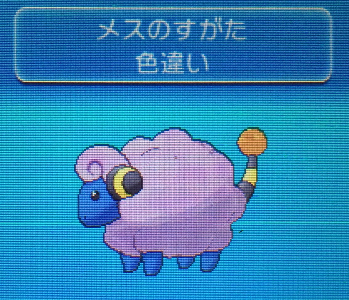 Xy クリマツ自転車