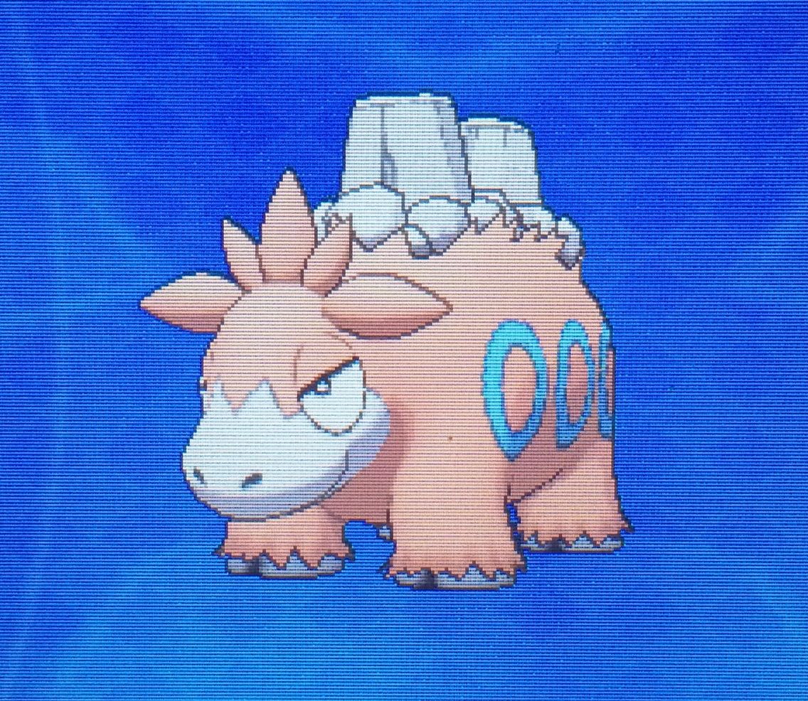 メガ進化 ドンメル バクーダ メガバクーダ クリマツ自転車