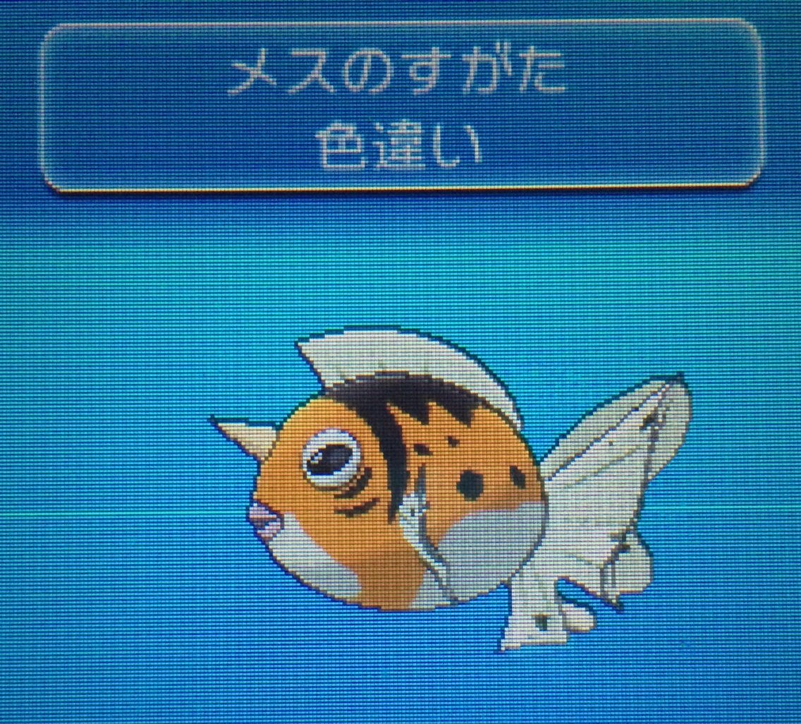 連続釣り トサキント アズマオウ クリマツ自転車 連続釣り トサキント アズマオウ クリマツ自転車