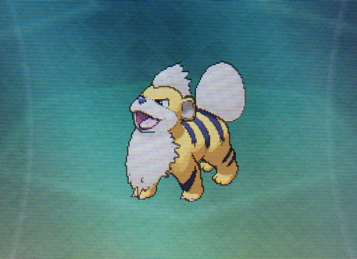Oras クリマツ自転車