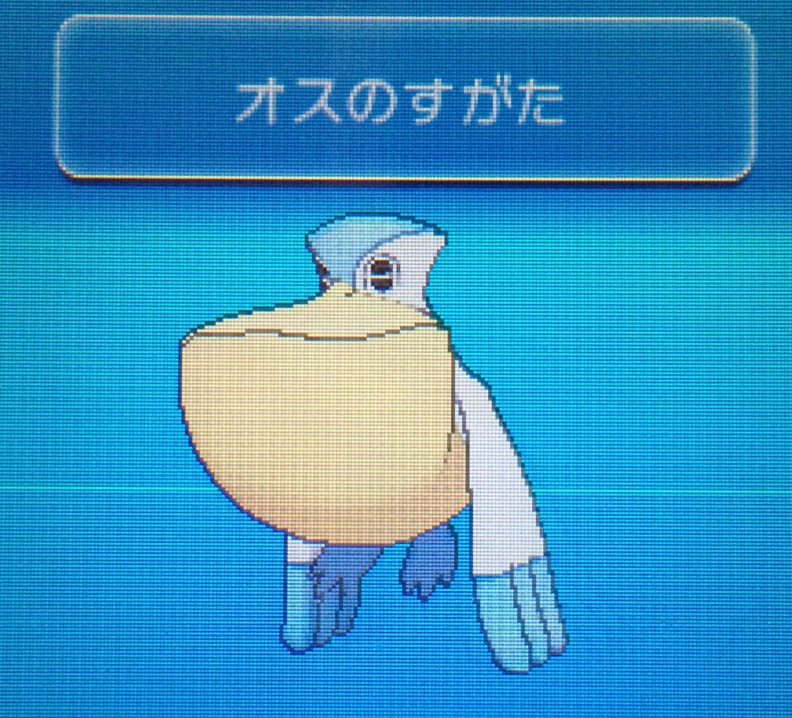 Xy クリマツ自転車 Xy クリマツ自転車