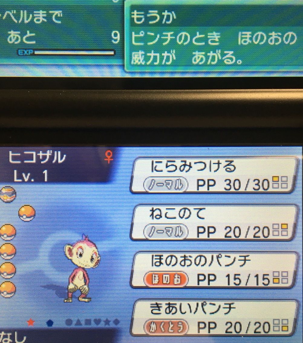 国際孵化 ヒコザル クリマツ自転車