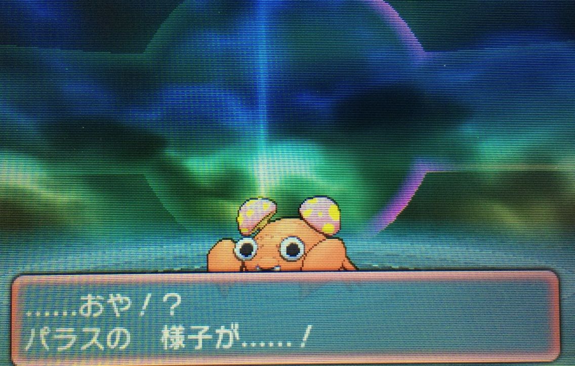 図鑑ナビ パラス パラセクト クリマツ自転車