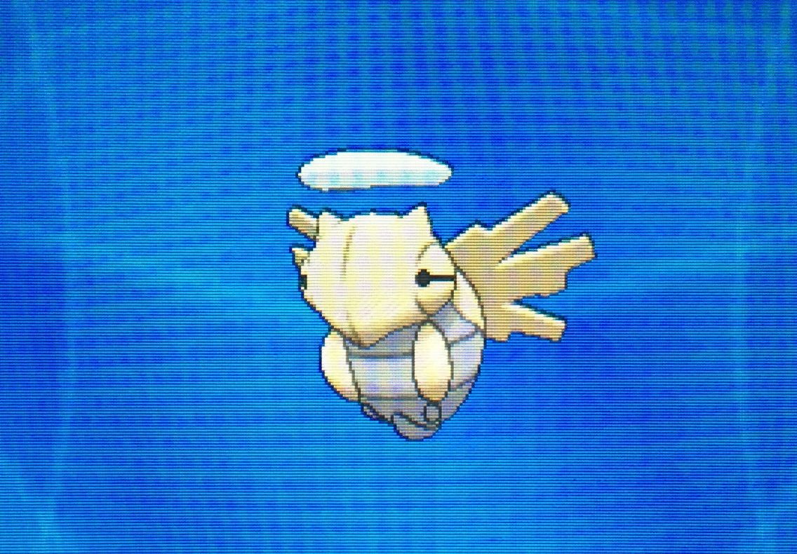 図鑑ナビ ツチニン テッカニン ヌケニン クリマツ自転車