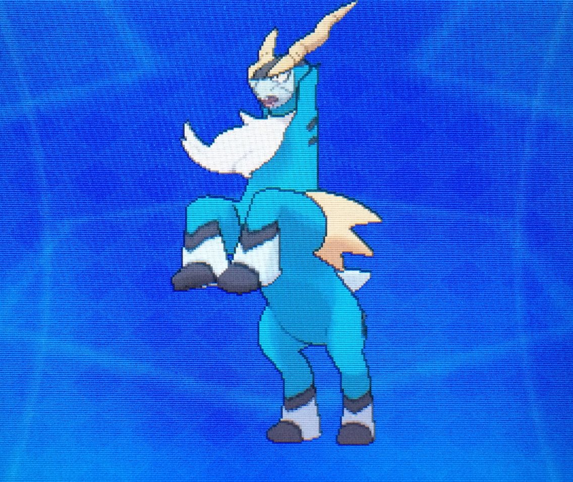 固定リセット クリマツ自転車