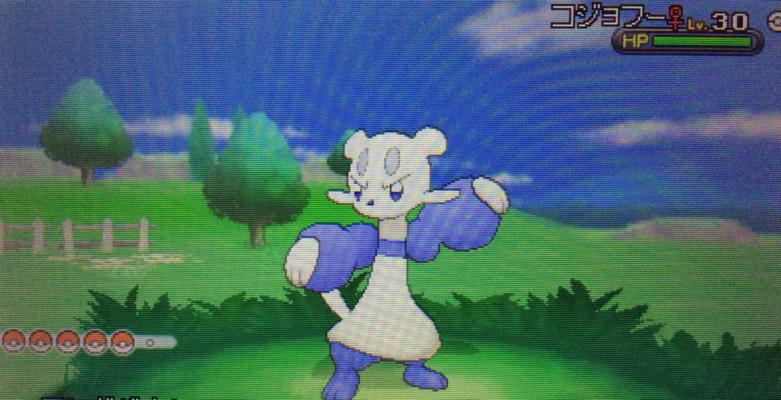 国際孵化 ヤンチャム おまけでコジョフー クリマツ自転車