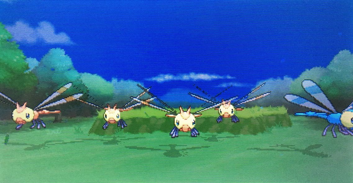 ポケモン xy 自転車