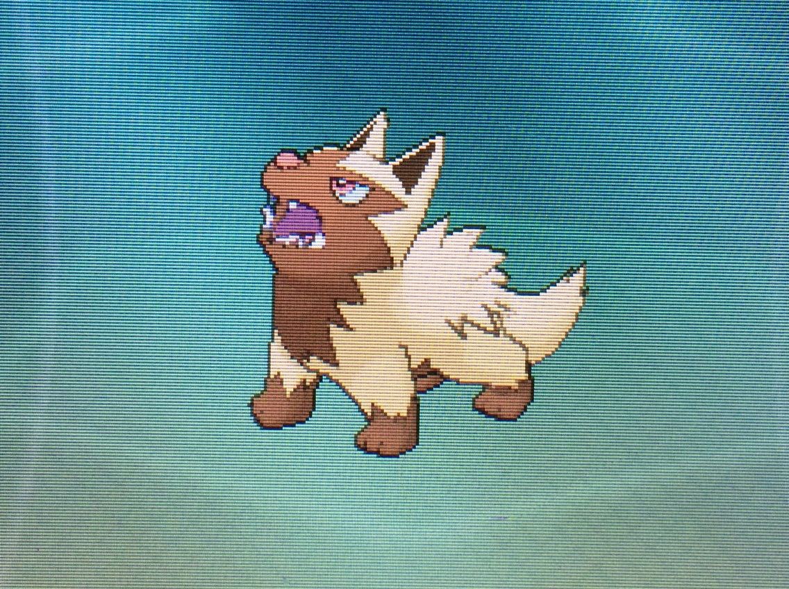 図鑑ナビ ポチエナ タネボー クリマツ自転車