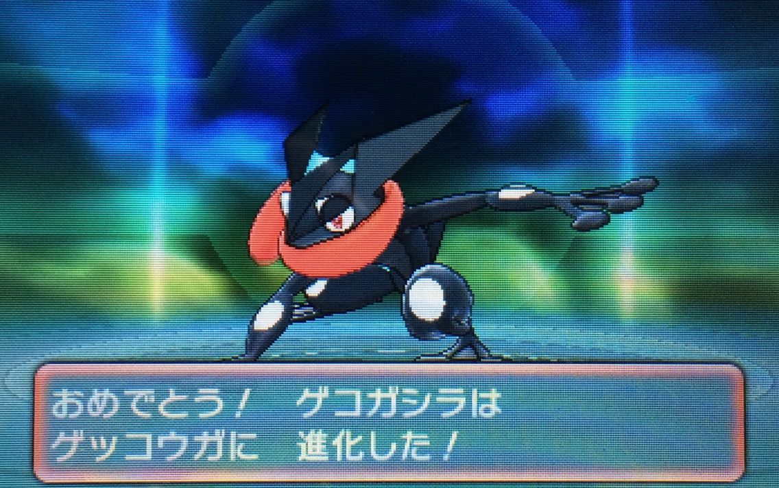 国際孵化 ケロマツ ゲコガシラ ゲッコウガ クリマツ自転車