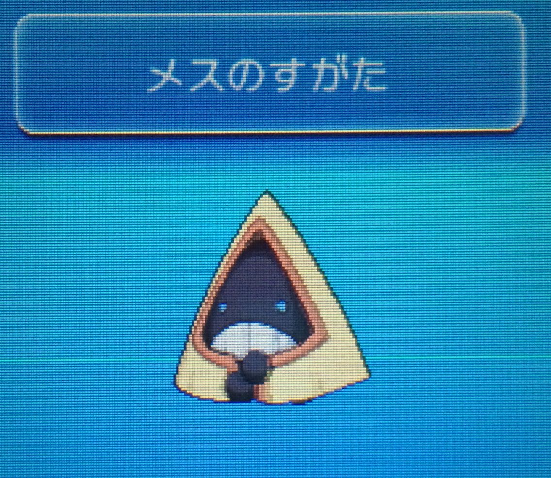 国際孵化 ユキワラシ ユキメノコ クリマツ自転車