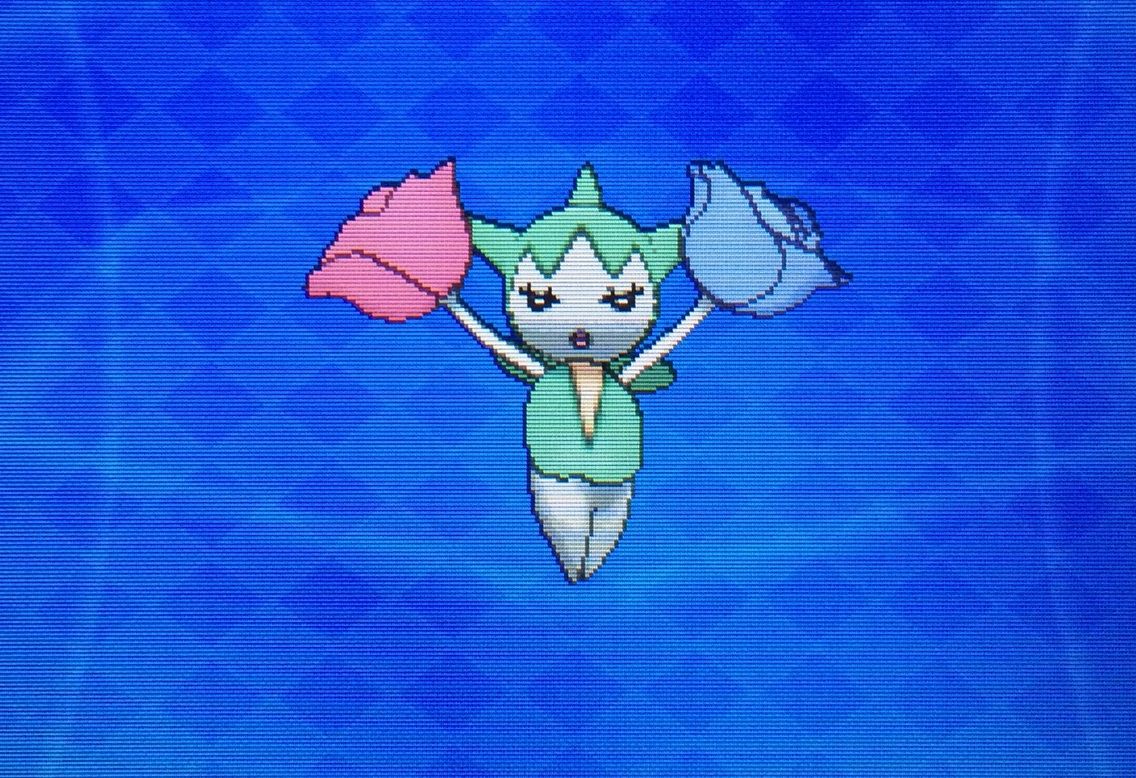 国際孵化 ロゼリア ロズレイド クリマツ自転車