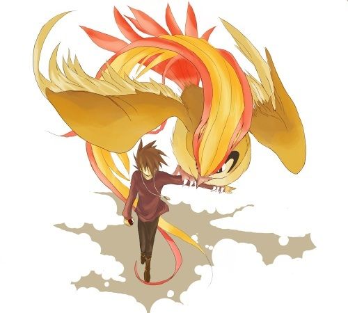 初代 ピジョット 金銀 ヨルノズク ルビサファ ペリッパー ポケまと ポケモンまとめ ２ｃｈ