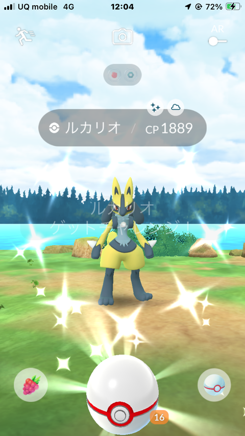 メガルカリオ色出3