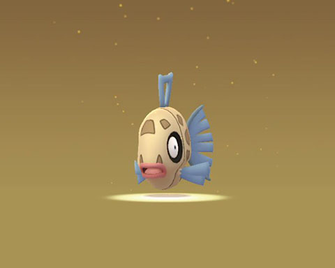 今までの例からしてわかるじゃんwwwヒンバス進化やめてくれ ポケモンgo速報まとめ 今までの例からしてわかるじゃんwwwヒンバス進化やめてくれ ポケモンgo速報まとめ