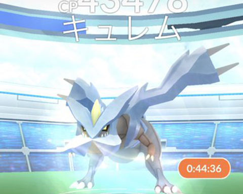 ノーマルだと産廃だけどbwがどうなるかｗｗｗキュレムどうすっかなｗｗｗ ポケモンgo速報まとめ