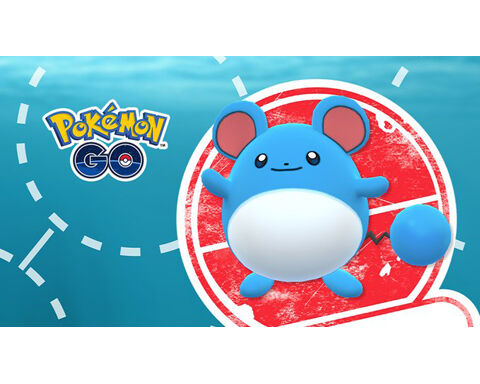 マリルの限定リサーチかwwマリルリの理想個体値も変わったのか ポケモンgo速報まとめ マリルの限定リサーチかwwマリルリの理想個体値も変わったのか ポケモンgo速報まとめ