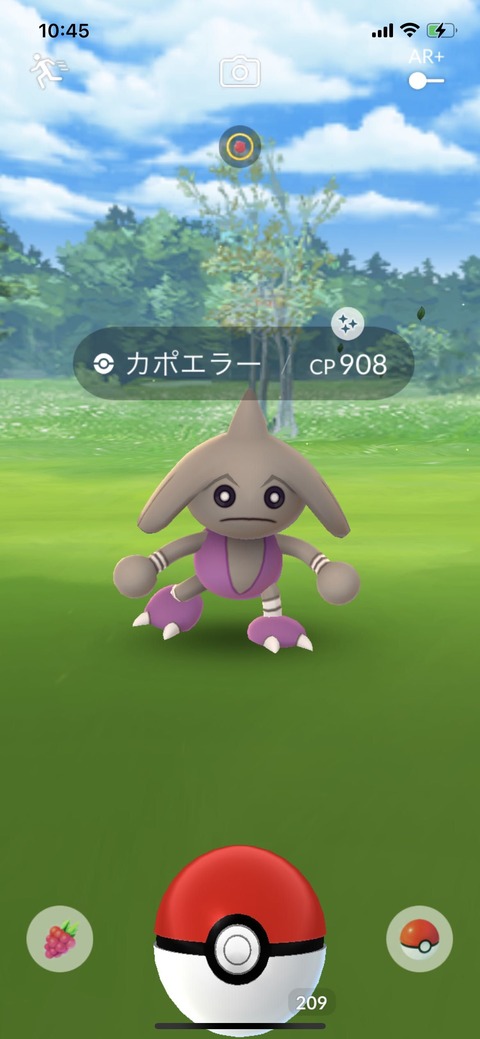 マスタリー色カポエラー2