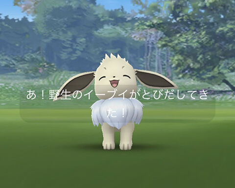 これｗｗ野生ポケモンが最初にアクションするようになったのかｗｗ 命を守る行動を ポケモンgo速報まとめ