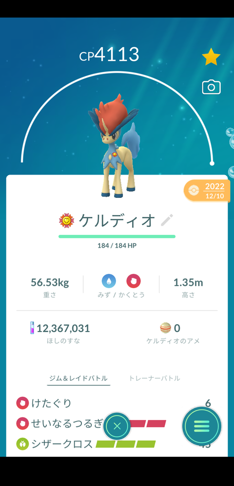 盗宝ケルディオ強化1