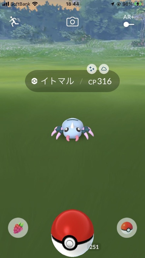 Spotイトマル色収穫1