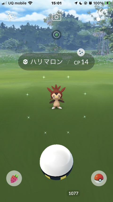 CDハリマロン色成果3