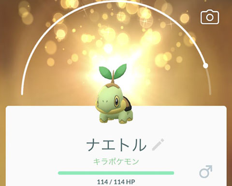 需要がなさそうな ナエトルは色違い3匹も捕まえればいいかなｗｗｗ ポケモンgo速報まとめ