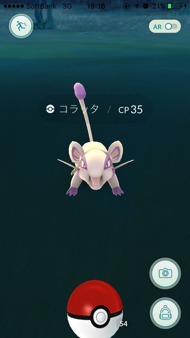 ポケモンgo 色違いポケモン 目撃情報がツイッターで投稿されるｗｗｗｗｗ 画像あり ポケモンgo速報まとめ