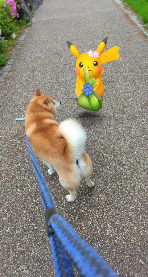AFフリボ連続当3