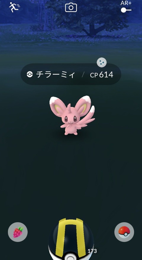 Spot色チラーミィ3