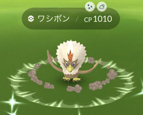 色違いワシボンでた それってつまり500回やって1匹の確立なのか ポケモンgo速報まとめ 色違いワシボンでた それってつまり500回やって1匹の確立なのか ポケモンgo速報まとめ