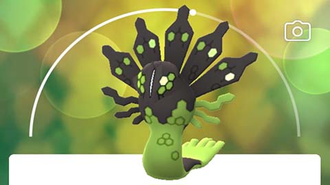 ジガルデ50