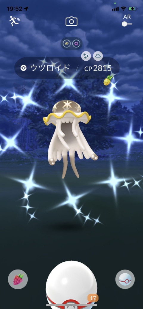 ウツロイド色高個体5